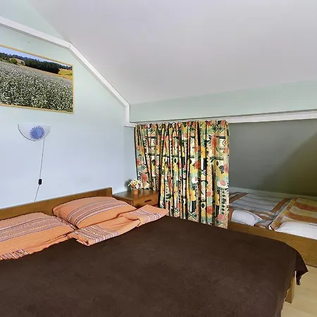 Farm stay Tourist Farm Ferencovi