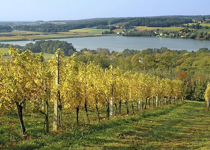 Tourist Farm Ferencovi * Cankova