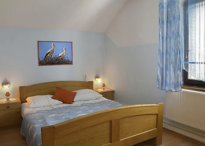 Tourist Farm Ferencovi * Cankova